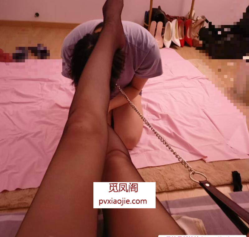 木专业丝足调教大长腿