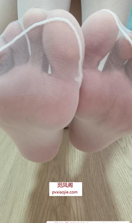 木专业丝足调教大长腿