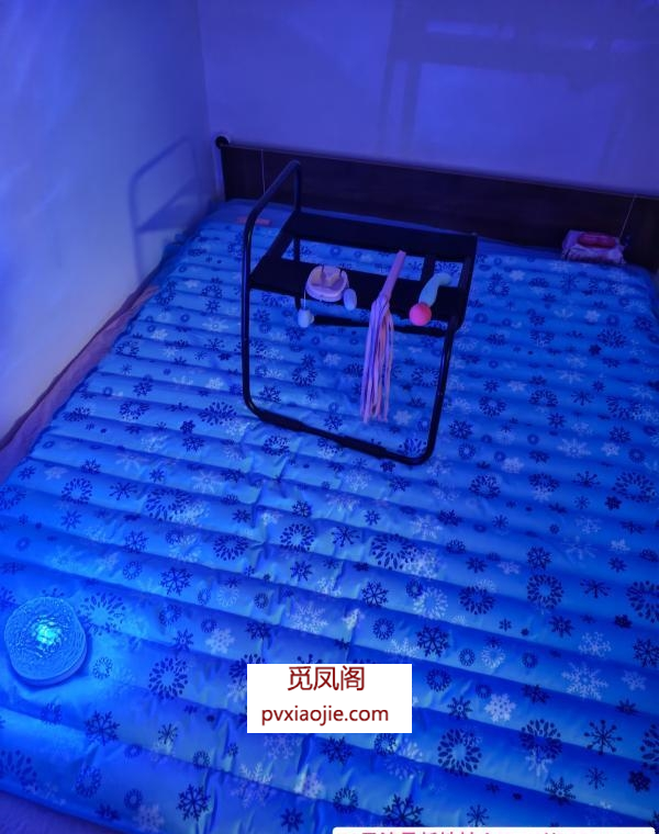 水床翘臀小刺猬