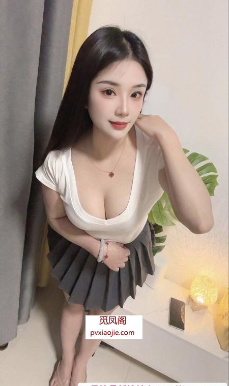 夫子庙情趣小骚货