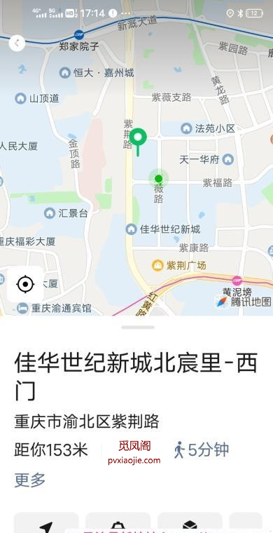 紫薇路熟女风信子