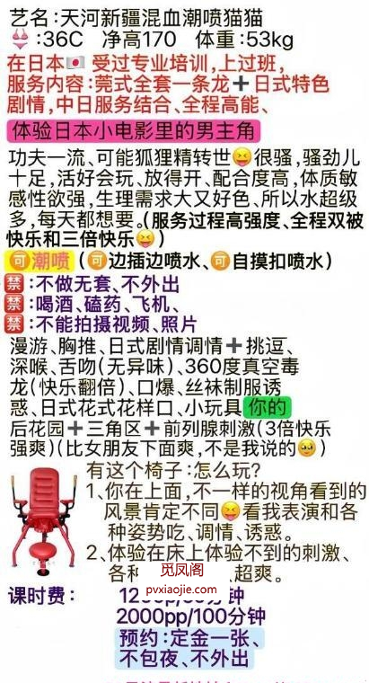 天河新疆混血潮喷猫猫