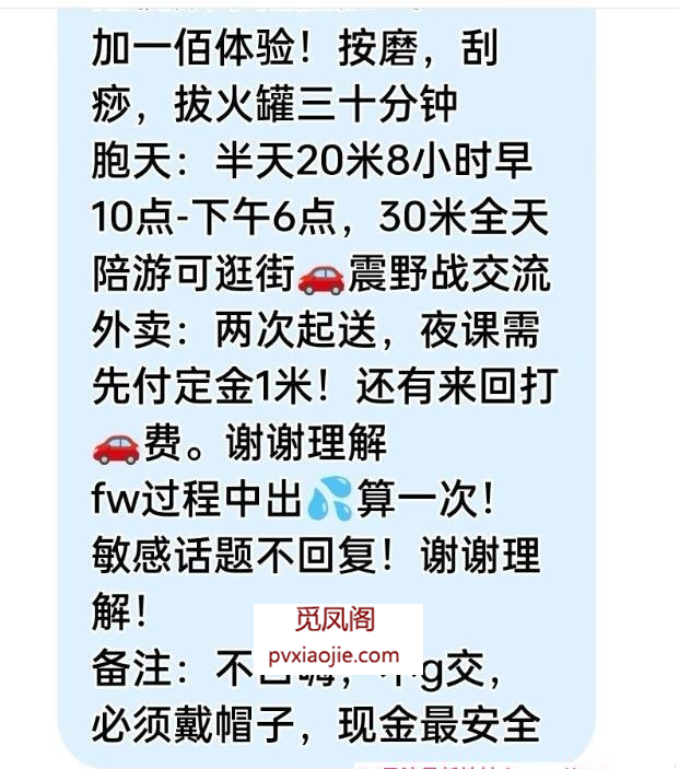 江南西丰满骚妇小优