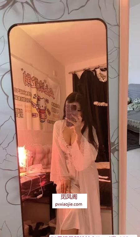 铁西娃娃脸小少妇