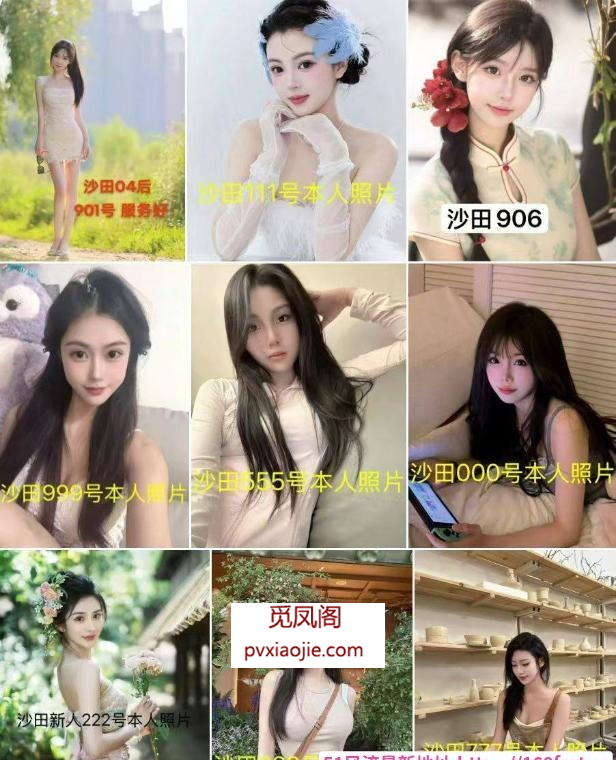 魔都T台海选不限次数